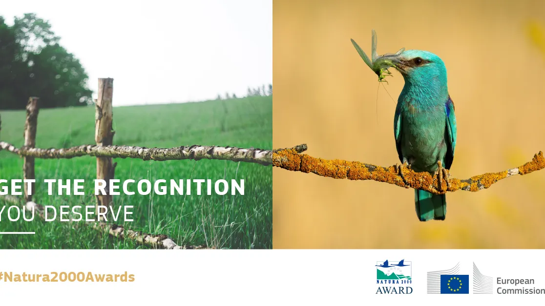 Natura_2000_web_banner_bird_1200px